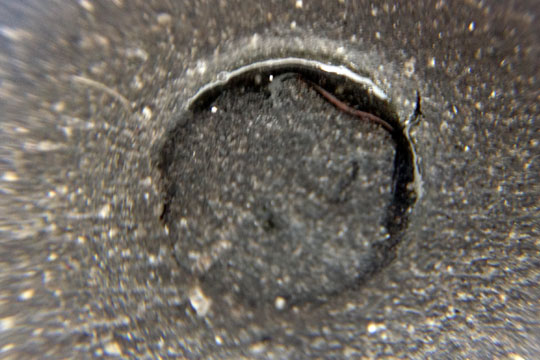 hashioki-marks