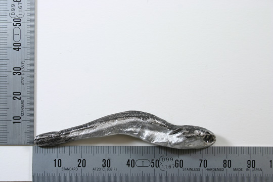 hashioki-photo3