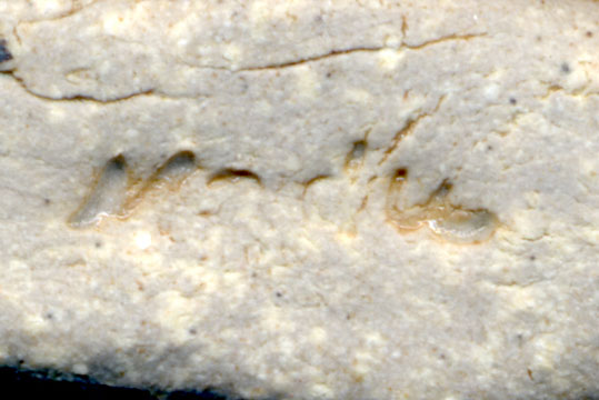 hashioki-marks